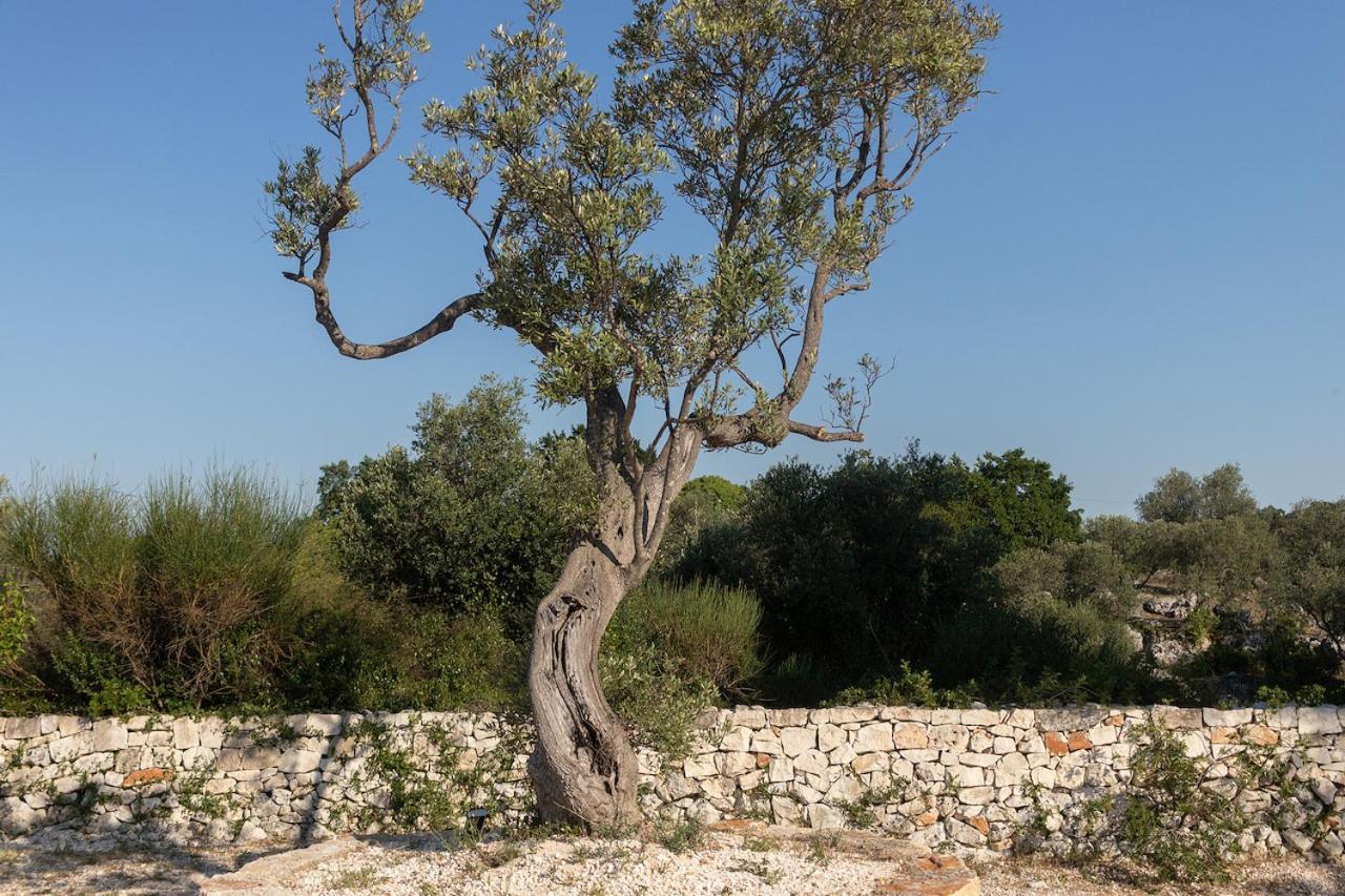 Trullo Carsico By Itriahomes Ceglie Messapica Exterior photo